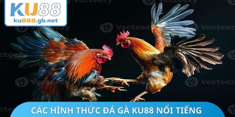 Các hình thức đá gà KU88 nổi tiếng hàng đầu