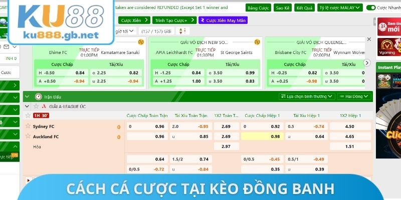 Cách cá cược tại kèo đồng banh