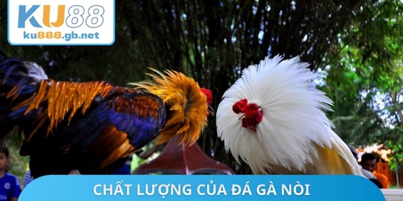 Chất lượng của đá gà nòi