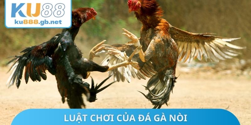 Luật chơi của đá gà nòi
