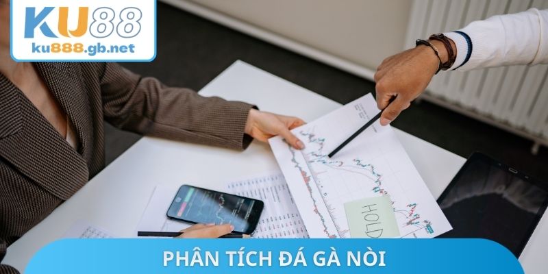 Phân tích đá gà nòi