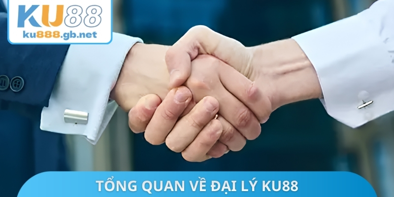 Tổng quan về đại lý KU88