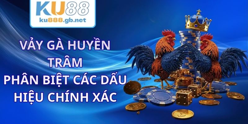 Vảy Gà Huyền Trâm KU88 - Phân Biệt Các Dấu Hiệu Chính Xác